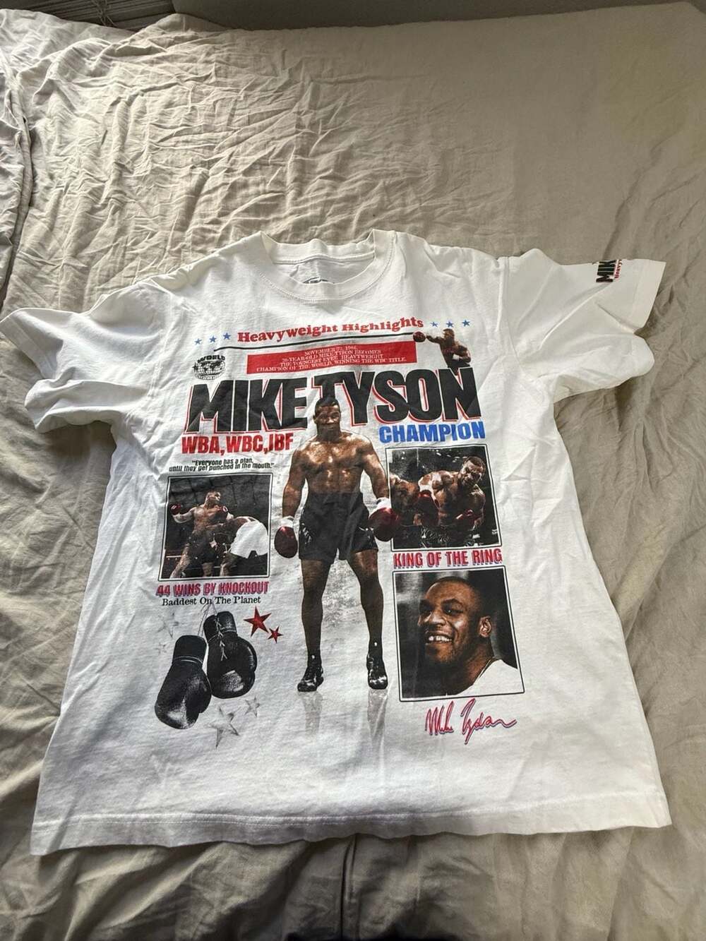 Vintage Blink 182 band T-shirt. No major issues or...